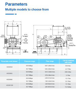 Soffiatore Roots a 3 Lobi ad Alta Pressione Elettrico con Pale in Ghisa per il Trattamento delle Acque Reflue - Product Image 6