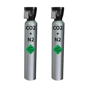 Sauerstoff-Argon-Gaszylinder kundenspezifischer Hochdruck-Co2-Tank DOT/ISO 40l Stahl 1000 L Hochdruck-Medizingas