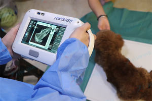 מיני וטרינרי מכונת רנטגן דיגיטלית מכונות xray דיגיטלית מכונות xray דיגיטלי dr תמונה מרפאת מחמד - Product Image 2