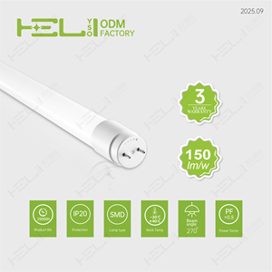 Lanterna de Trabalho LED Portátil de Boa Qualidade 9W 1350Lm 220V/69mA Luz de Emergência LED - Product Image 5