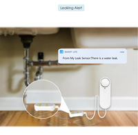 Capteur de niveau d'eau intelligent Tuya et alarmes de fuite d'eau, contrôle par application WiFi, détecteur de fuite à double sonde avec alarme sonore