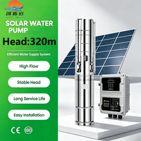 Bomba Sumergible Solar Resistente al Desgaste, Amplia Adaptación de Voltaje, Suministro de Agua Profunda, Riego de Pastos, Proyecto de Agua Rural