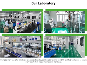 Melaleuca Alternifoliaオイルオーストラリア100% ピュアナチュラルバルク有機ティーツリーエッセンシャルオイル - Product Image 6