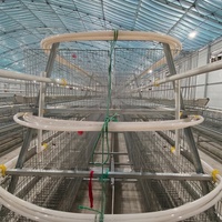 Cage de couvaison pour poussins de type A, conception sécurisée, en treillis galvanisé, système anti-évasion pour élevage avicole