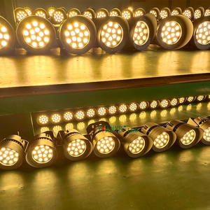 Longue durée de vie Spike lampe arbre Projection Rgb Rgbw marche/arrêt lampe à ongles étanche pour YY-TG1F de Sculpture de stationnement communautaire - Product Image 2