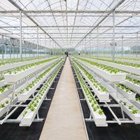 Système de culture hydroponique NFT en serre, équipement de culture hors sol à haute efficacité pour la plantation de légumes agricoles