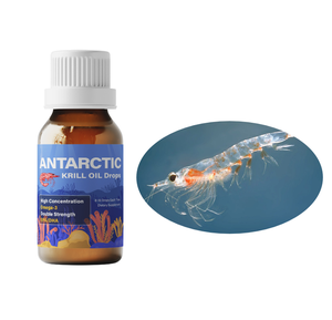 Huile de crevettes de krill antarctique Pure Premium oem meilleur supplément de gouttes d'huile de krill - Product Image 4