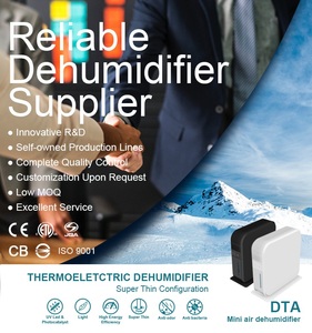DTA <b>Compressor</b> Dehumidifier For Bookcase <b>Mini</b> Size Portable Dehumidifier 250x70x250 mm Customized Packaging - Product Image 2