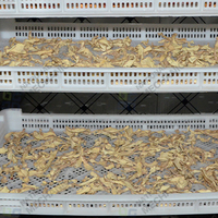 Déshydrateurs de légumes pour curcuma, gingembre et cannelle séchés – Machine commerciale de séchage de piments et de gingembre
