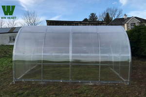 Açık bahçe yeşil ev Metal çerçeve polikarbonat PC levha seralar - Product Image 4