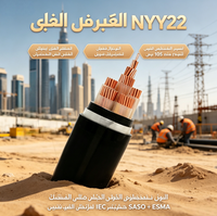 Câble d'alimentation blindé en cuivre NYY22 pour projets industriels au Moyen-Orient, résistant aux UV et au sable, haute température, conforme à la norme IEC60502