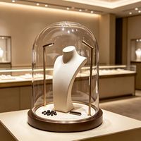 Vitrine et présentoir à bijoux en aluminium GZowin avec éclairage LED - Vitrine à bijoux écologique