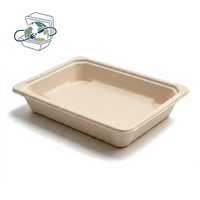 Plateau en bagasse de canne à sucre jetable, compostable, compatible micro-ondes, pour la restauration aérienne, les plats à emporter, la livraison de repas, vaisselle jetable écologique