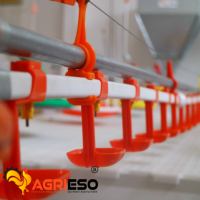 Agrieso Équipement de solution completement automatisé pour l'élevage de volailles et de poulets en poulailler