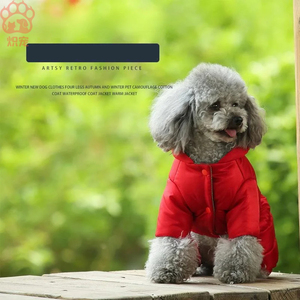 Jaket musim dingin katun mewah grosir ramah lingkungan kualitas tinggi dengan kerudung berkaki 4 Logo kustom pola cetak dan tahan angin - Product Image 5
