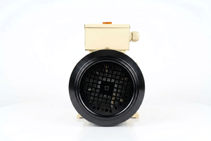 Motor de Inducción Monofásico BI-3-MCB de 3 HP con MCB y Voltímetro, 2.25KW, 210-230V, 16.5A, 1440 RPM, Marco de 95 mm - Product Image 6
