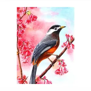 Boyama resimleri numaraları kuş suluboya hayvanlar resim dijital boya ile sayılar tarafından boya renkleri
