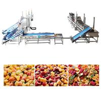 Industriële Bevroren Fruit Maken Machine Verwerkingslijn Vers Fruit Wassen Peeling Coring Snijden Snijden Iqf Vriesmachine