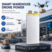 Baterai Drone 3.7V 52000mah 350wh/kg Sel Baterai Semi Solid State Densitas Energi Tinggi untuk Baterai Drone Lipo