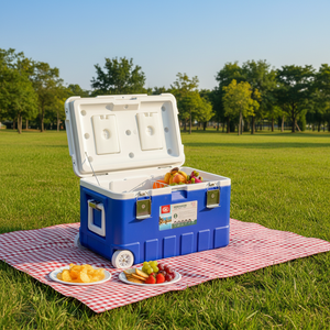Grande glacière de 50 L pour stands, transport en voiture, <span class=keywords><strong>conservation</strong></span> des aliments en extérieur, livraison à emporter, pêche en mer, <span class=keywords><strong>conservation</strong></span> de la glace - Product Image 5