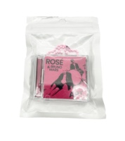 Couverture de musique personnalisée DIY porte-clés porte-clés disque bijou acrylique vide Dvd personnalisé NFC Album boîte étui Mini porte-clés cd vierge