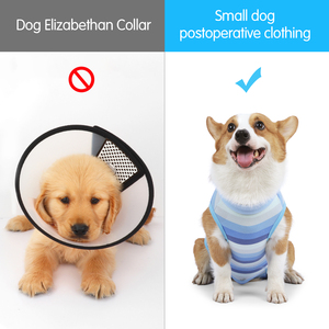 Harnais de rééducation réglable <span class=keywords><strong>Doton</strong></span> pour chiens âgés, blessés ou handicapés de taille moyenne à grande – Sling de levage et de soutien – Vente en gros OEM - Product Image 3