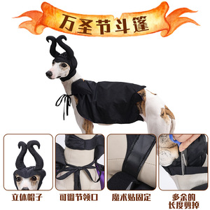 Venta al por mayor Producto para mascotas gato de Halloween <span class=keywords><strong>mal</strong></span>éfica mascota villano ropa disfraz perro reina malvada mascota disfraz - Product Image 3