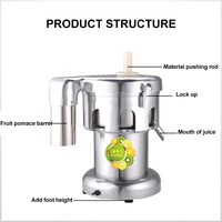 LGO Commerciële multifunctionele sapcentrifuge, fruitseparator, roestvrijstalen fruit- en groentesapcentrifuge