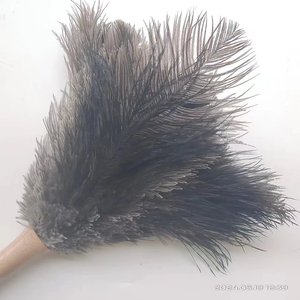 16 pouces Real Fluffy Grey Natural Cleaning Supplies <span class=keywords><strong>Plumeau</strong></span> d'autruche pour le nettoyage - Product Image 6