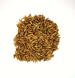 100%天然高タンパク質高カルシウム鶏鳥用飼料乾燥ブラックソルジャーフライ幼虫 - Product Image 2