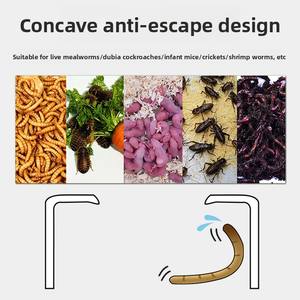 Suministros para Reptiles y Anfibios, Material PP Duradero y Ecológico para Prevenir <span class=keywords><strong>la</strong></span> <span class=keywords><strong>Escape</strong></span> de Mascotas, Escondite para Lagartos, Alimentación con Gusanos de <span class=keywords><strong>la</strong></span> Harina - Product Image 4