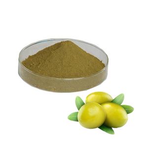 Poudre <span class=keywords><strong>d</strong></span>'extrait de feuille <span class=keywords><strong>d</strong></span>'<span class=keywords><strong>olivier</strong></span> de qualité alimentaire, Olea Europaea, 20% 40% oléuropéine - Product Image 3