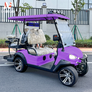 Carro de Golf Loco de 2 Asientos con <span class=keywords><strong>Motor</strong></span> Eléctrico de 5KW Mini Carrito de Golf de Acero Tablero de E-Golf Certificado por EEC & GCC - Product Image 3