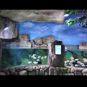 UV Protected High Impact Durable <strong>Rectangular</strong> Rainforest Landscaping <strong>Acrylic</strong> Fish Tank - Product Image 5
