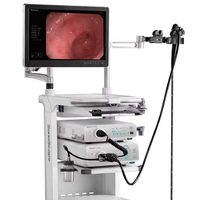 Système d'endoscopie vidéo HD-350, gastroscopie, colonoscopie, caméra d'endoscopie médicale hospitalière, appareil d'endoscopie Sonoscape