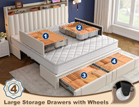 XDS Cadre de lit King Size moderne et élégant 4 tiroirs de rangement Tête de lit rembourrée tuftée Aucun ressort de boîte nécessaire Matériau en toile souple