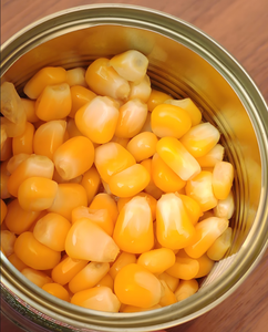Maíz Dulce <span class=keywords><strong>de</strong></span> Alta Calidad, Suave y Jugoso, en Rodajas, Fresco, Saludable, Fácil <span class=keywords><strong>de</strong></span> Cocinar, Enlatado en Sirope - Product Image 4