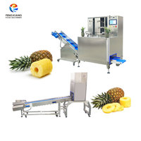 Fengxiang Ananasring Verwerkingsmachine Ananas Schil-, Ontpit- en Snijmachine 304 RVS 220V/380V 1kW Hoog vermogen