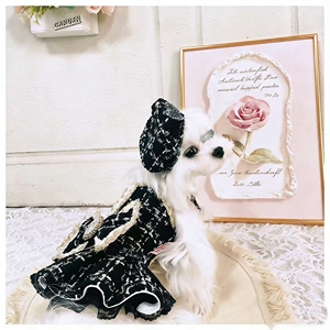 Jupe en fibres mélangées de style britannique JXANRY pour petits chiens - Design doux et mignon avec une sensation luxueuse - Product Image 3