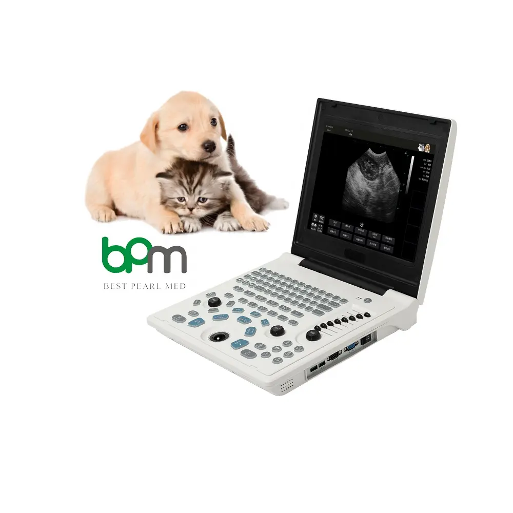 Color Doppler Pig Dog Pregnancy Veterinary Ultrasound Cat Scanner System Digital Pet Portable 4D Ultrasound Scanning Machine