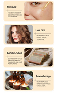 Huile Essentielle Naturelle d'Armoise, Parfum Herbal Doux pour Diffuseur d'Arômes, SPA, Massage Corporel, Savon et Bougie DIY