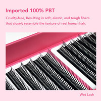 DIYDAY Échantillon Disponible Éventails Préfabriqués 5D Fairy Faits à la Machine Volume Complet pour Extensions de Cils Ailés en PBT Doux et Écologiques