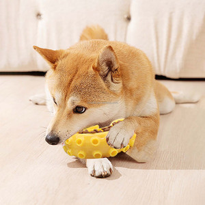Güvenli TPR dayanıklı sert yavru Pet çiğnemek oyuncaklar agresif checheiçin büyük ırklar yıkılmaz köpek diş temizleme oyuncaklar - Product Image 6