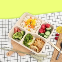 Plateau jetable 100% compostable en fibre végétale, biodégradable, plateau alimentaire en bagasse de canne à sucre