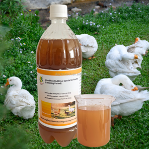 Hocheffizienter Geflügel-Wachstumsförderer <span class=keywords><strong>mit</strong></span> Multivitaminen Erreicht 5%-10% Zielgewicht in Rekordzeit - Product Image 5