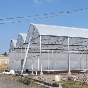 Etfe Film wachsen Zelt verwendet kommerzielle komplette Gewächs häuser Verkauf