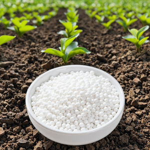 <span class=keywords><strong>Engrais</strong></span> granulaire <span class=keywords><strong>universel</strong></span> NPK <span class=keywords><strong>15</strong></span>-<span class=keywords><strong>15</strong></span>-<span class=keywords><strong>15</strong></span> à libération rapide et équilibré pour légumes, fruits et cultures - Product Image 5