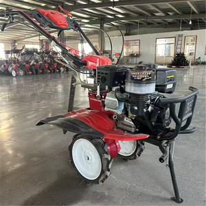Piccola Motozappa Diesel Portatile per Uso in Orti e Frutteti - Product Image 4