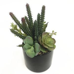 Planta Suculenta Artificial de <span class=keywords><strong>Echeveria</strong></span> Verde Realista y Grande, Hecha de Material PE, para Decoración de Jardín y Ocasiones como Pascua - Product Image 6