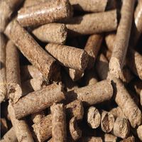 Achetez des granulés de bois de pin 100% naturels pour barbecue, fumoir, grilles à granulés, forme de briquette, diamètre 6 mm, emballés dans un sac